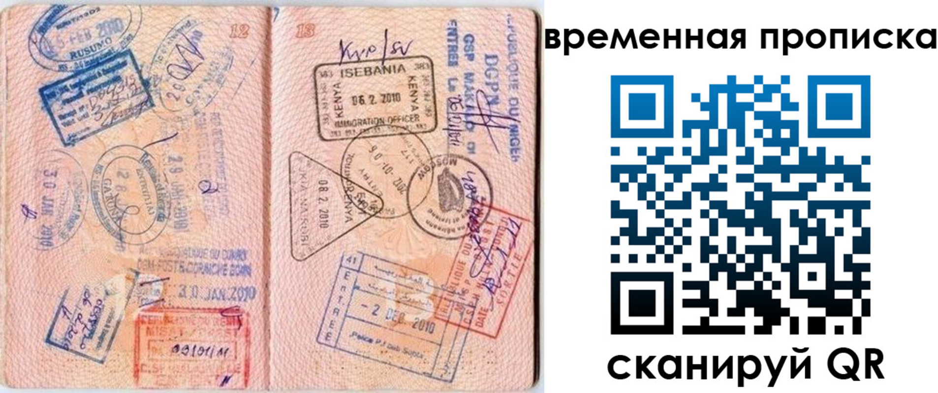 прописка гарантия в Владимире